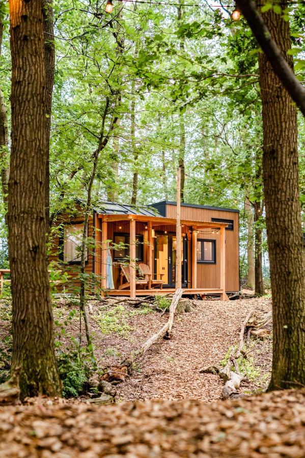 Tinyparks Forest Cabins Hoogersmilde Ngoại thất bức ảnh