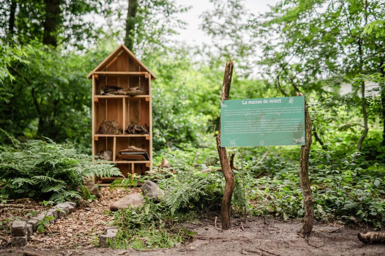 Tinyparks Forest Cabins Hoogersmilde Ngoại thất bức ảnh