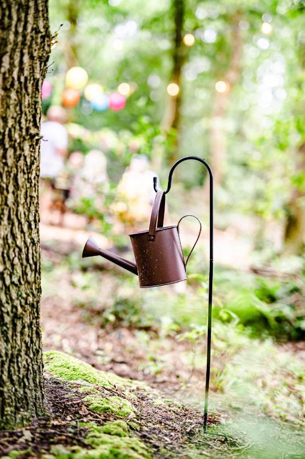 Tinyparks Forest Cabins Hoogersmilde Ngoại thất bức ảnh