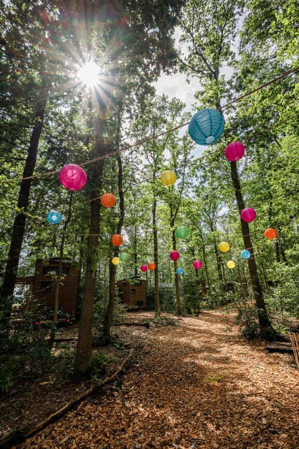 Tinyparks Forest Cabins Hoogersmilde Ngoại thất bức ảnh